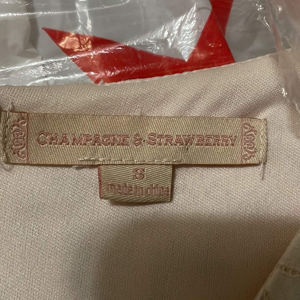 CHAMPAGNE & STRAWBERRY WHITE LACE DRESS SIZE SMALL - Picture 5 of 6
